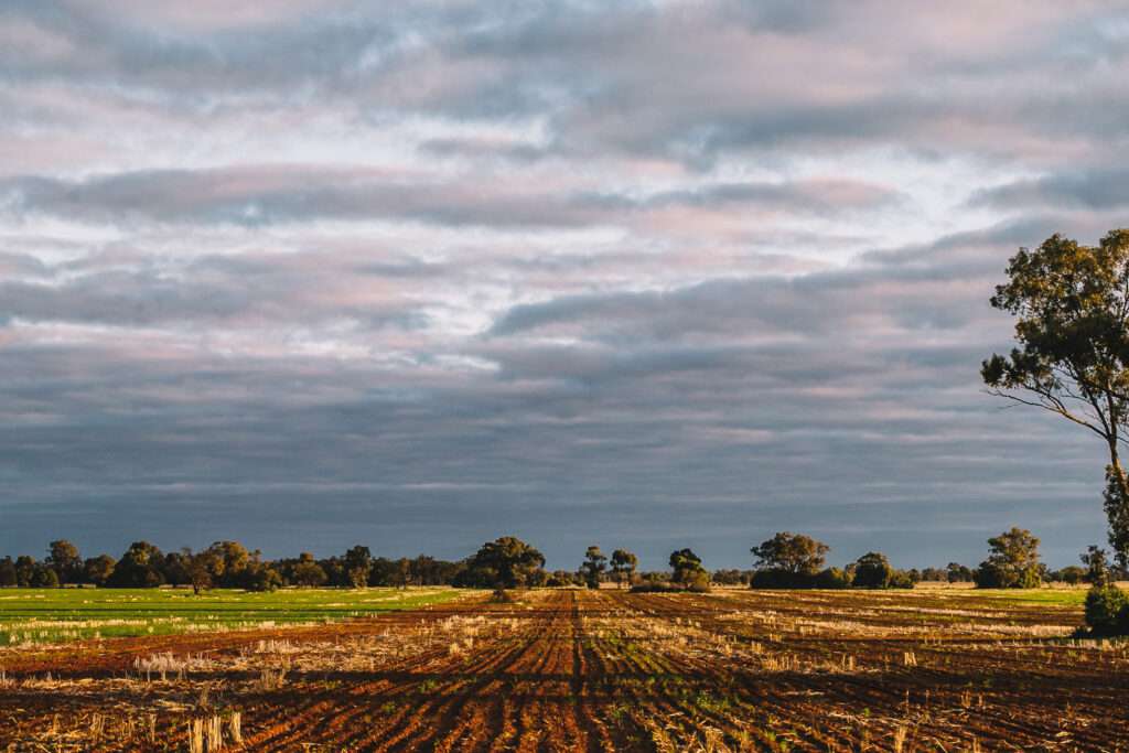 farming